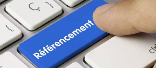 agence seo